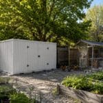 Backyard 1 1